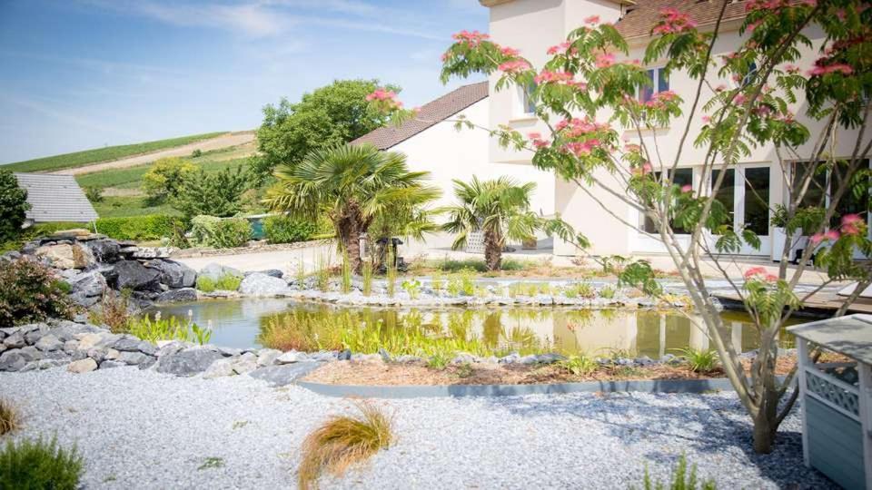Reuil-sur-Marne Domaine Bacchus B&B 외부 사진