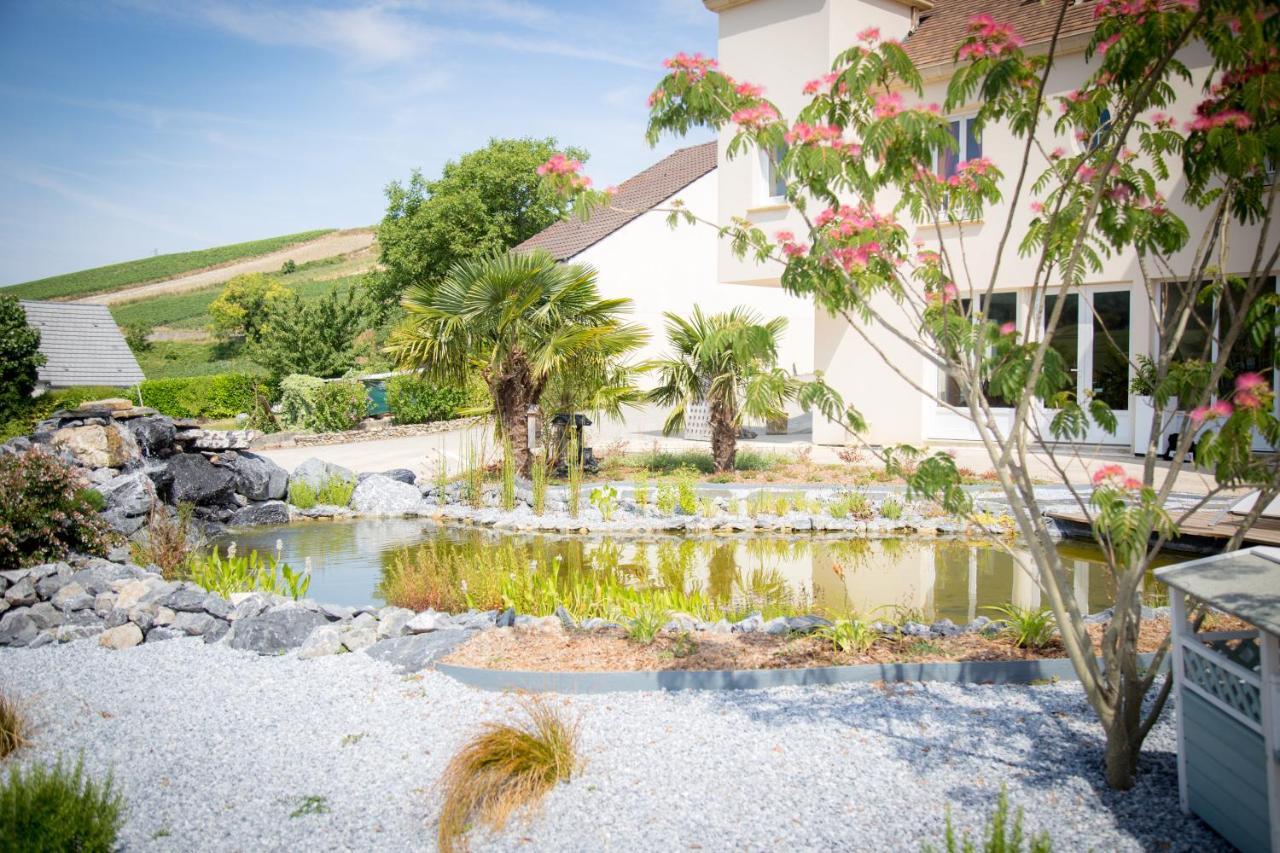 Reuil-sur-Marne Domaine Bacchus B&B 외부 사진